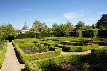 Roseraie dans le parc du Château de Touffou
