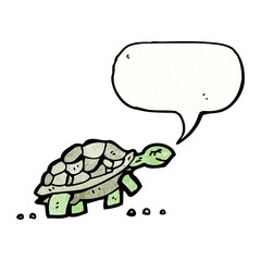 cartoon tortoise