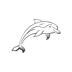 doodle dolphin