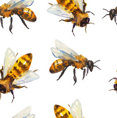 Watercolor seamless pattern with bee