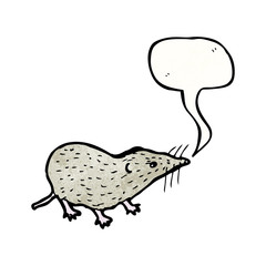 shrew illustration