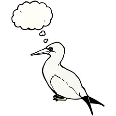 cartoon sea bird