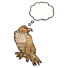 cartoon hawk