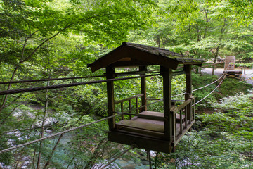 徳島県　奥祖谷二重かずら橋　野猿