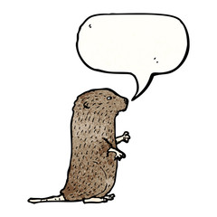 beaver illustration