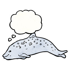 cartoon dolphin