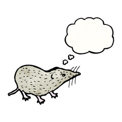 shrew illustration