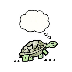 cartoon tortoise