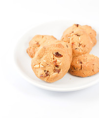 Chocolate chip cookie on white disk