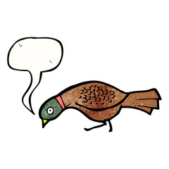 cartoon pheasant
