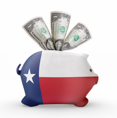 Piggy bank with the flag of Texas .(series)