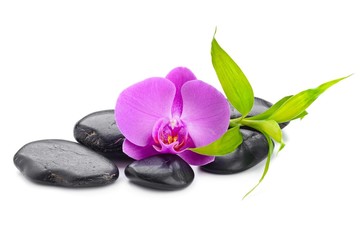 Fototapeta na wymiar spa concept with zen stones basalt stone bamboo and orchid