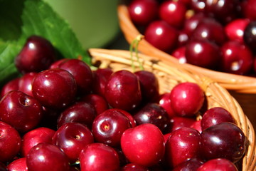 Kirschen im Korb