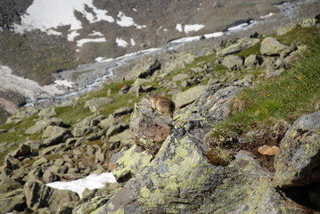 Pitztal