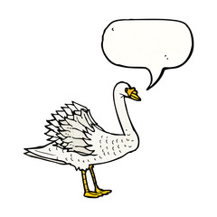 swan illustration