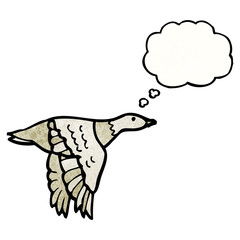 flying bird cartoon