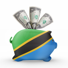 Piggy bank with the flag of Tanzania .(series)