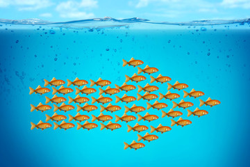 business conceptual