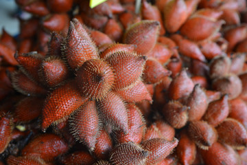 Fototapeta premium Zalacca Fruit