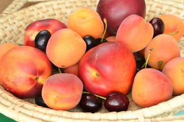 Summer fruits