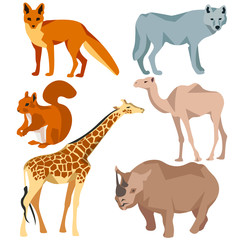 Set Isolated different animals fox, wolf, giraffe, protein