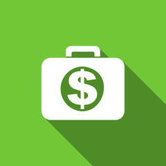 financial flat icon