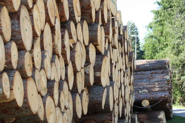logs of wood