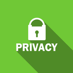 privacy flat icon