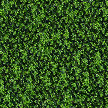seamless texture of prasley