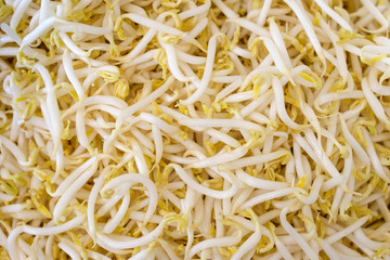 bean sprouts