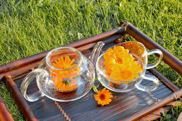 Herbal medicine tea with marigold