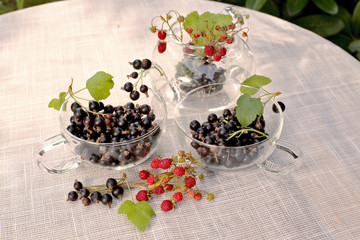 Wild strawberries and black currant tea in garden