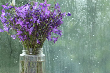 bright colorful flowers on a green background
