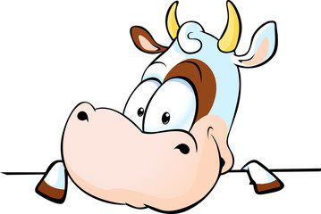 cow peeks out from behind a white surface - vector illustration