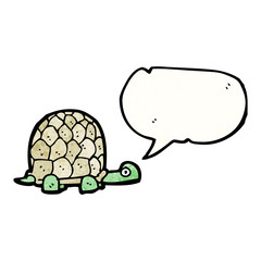cartoon tortoise