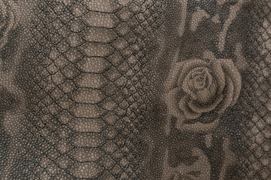 Texture skin of a reptile 