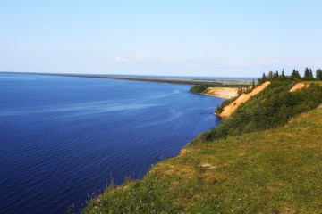 forest landscape in summer europe pine