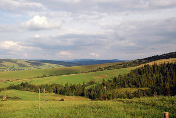 Landscape of Ukrainian green plains