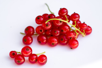 Ripe red currant on a white background