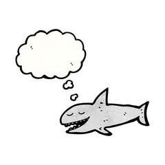 cartoon shark