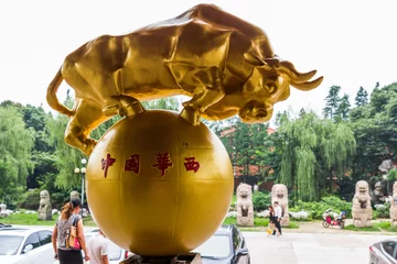Crédence de cuisine en verre imprimé Chine goldbulle