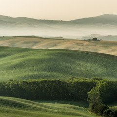 summer landscape of Tuscany, Italy.