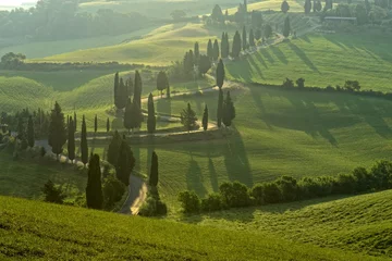 Tuinposter summer landscape of Tuscany, Italy. © Pavel Timofeev
