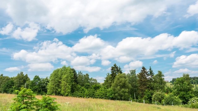 Quellwolken im Sommer