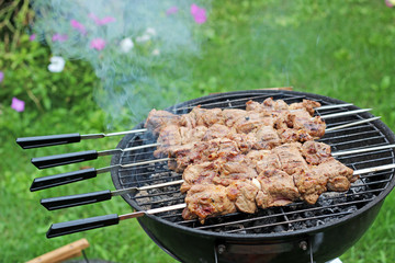 Pork barbecue or kebab on the metal sticks