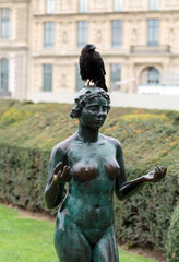 Paris -  Bronze sculpture Baigneuse by Aristide Maillol in Tuileries garden
