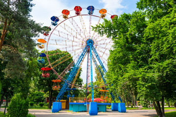Ferris wheel in the green park