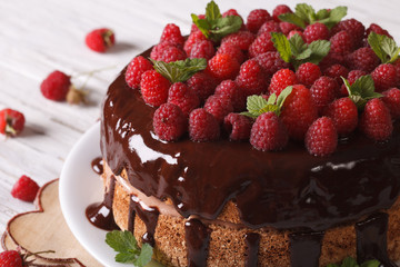 Chocolate cake with fresh raspberries close-up horizontal
