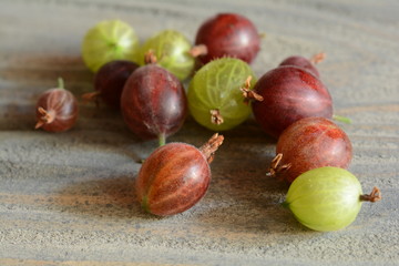 Gooseberry