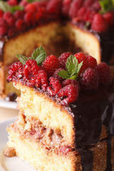delicious piece of raspberry cake on a plate macro. vertical
